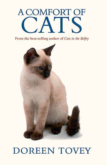 Book cover of A Comfort of Cats