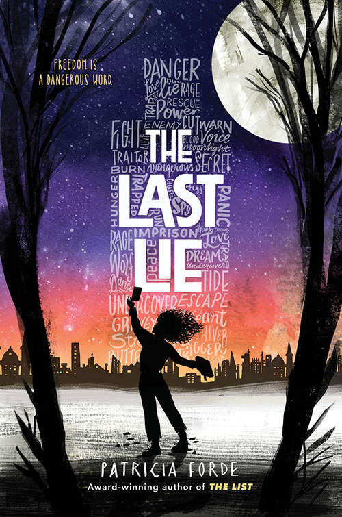 Book cover of The Last Lie (The List #2)