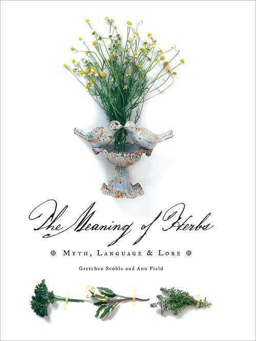 Book cover of The Meaning of Herbs: Myth, Language & Lore