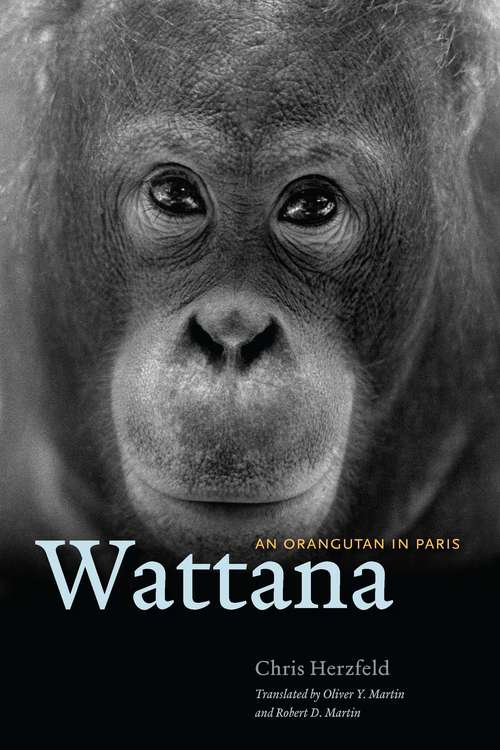 Wattana: An Orangutan in Paris