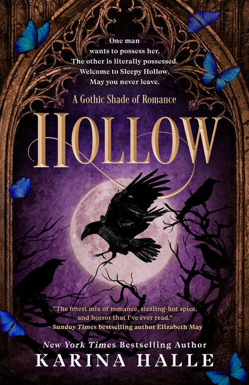 Book cover of Hollow (A Gothic Shade of Romance)