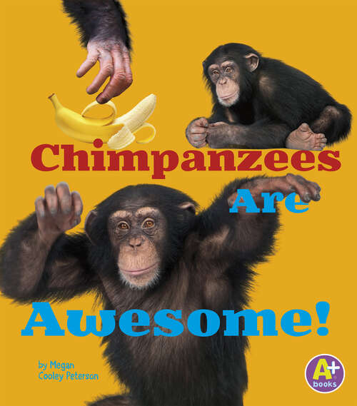 Book cover of Chimpanzees Are Awesome!