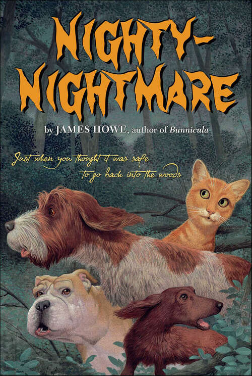 Book cover of Nighty-Nightmare