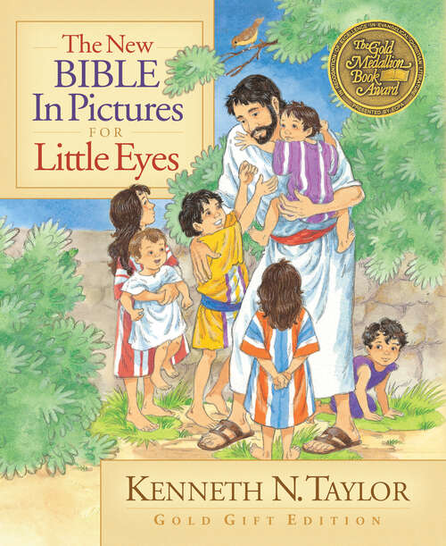 Book cover of The New Bible in Pictures for Little Eyes (New Edition)