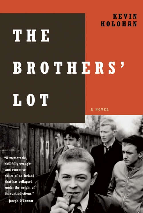 Book cover of The Brothers' Lot