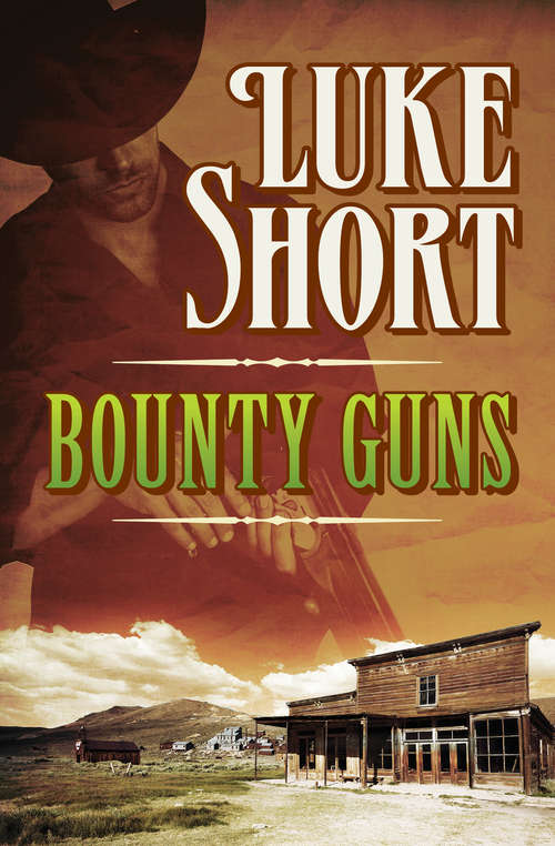 Book cover of Bounty Guns