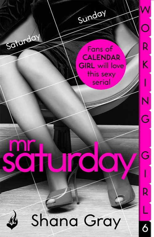 Book cover of Working Girl: Mr Saturday