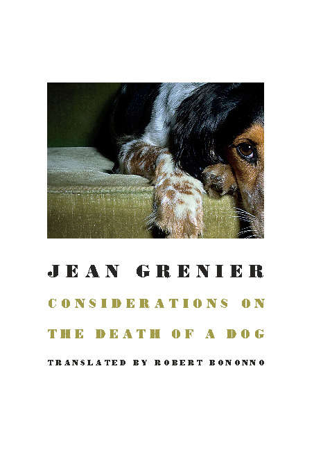 Book cover of Considerations on the Death of a Dog