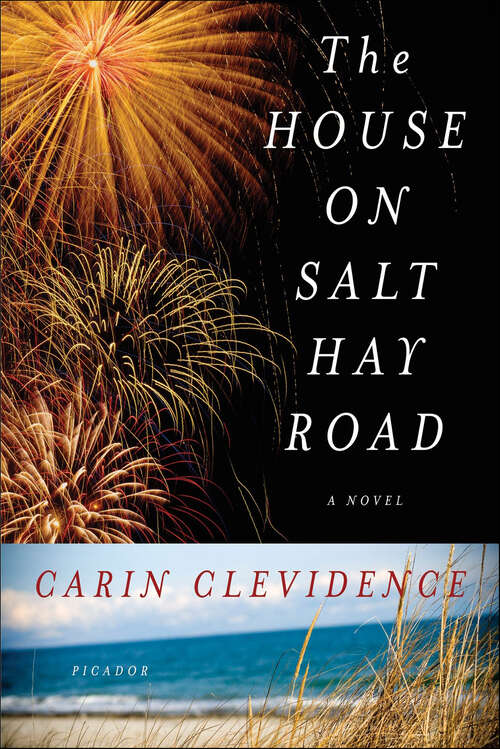 Book cover of The House on Salt Hay Road: A Novel