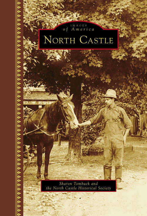 Book cover of North Castle