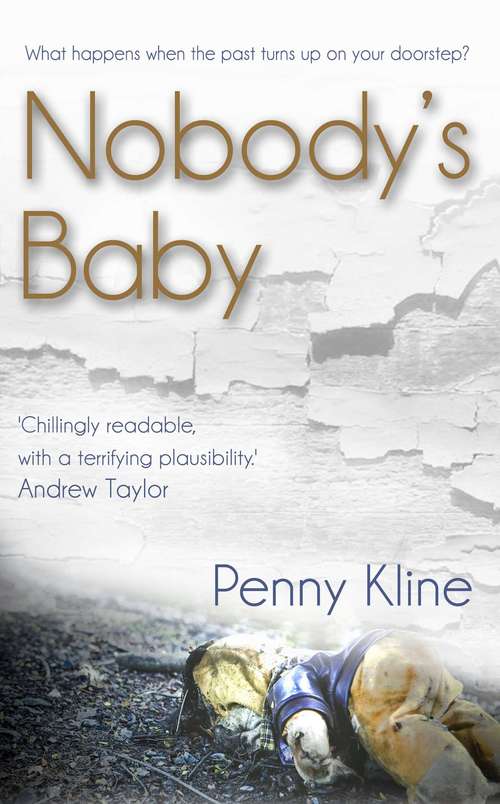 Book cover of Nobody's Baby