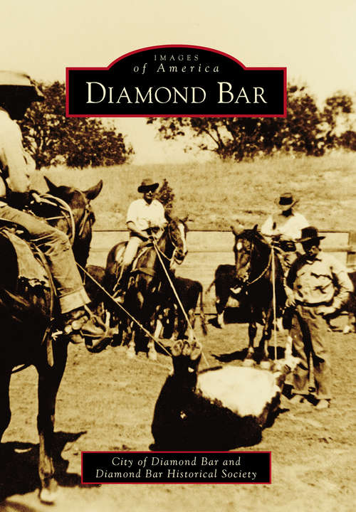 Book cover of Diamond Bar