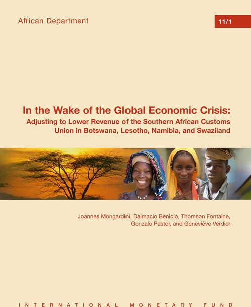Book cover of In the Wake of the Global Economic Crisis: Adjusting to Lower Revenue of the Southern African Customs Union in Botswana, Lesotho, Namibia, and Swaziland