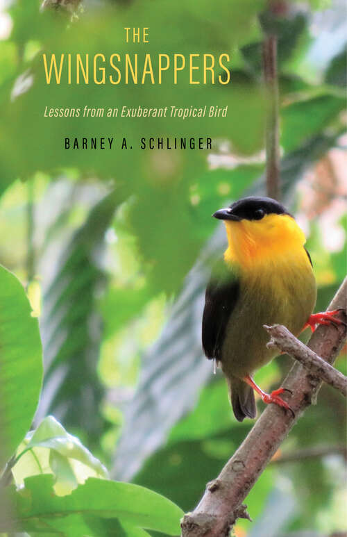 Book cover of The Wingsnappers: Lessons from an Exuberant Tropical Bird