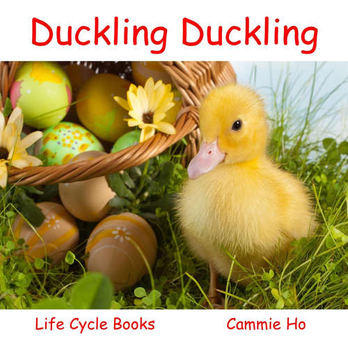 Book cover of Duckling Duckling