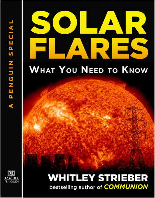 Book cover of Solar Flares: What You Need to Know