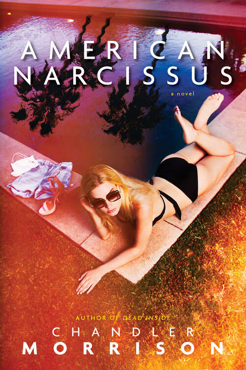 Book cover of American Narcissus