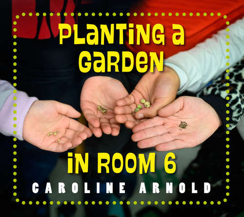 Book cover of Planting a Garden in Room 6: From Seeds to Salad (Life Cycles in Room 6)