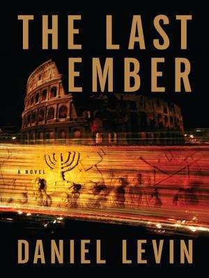 Book cover of The Last Ember
