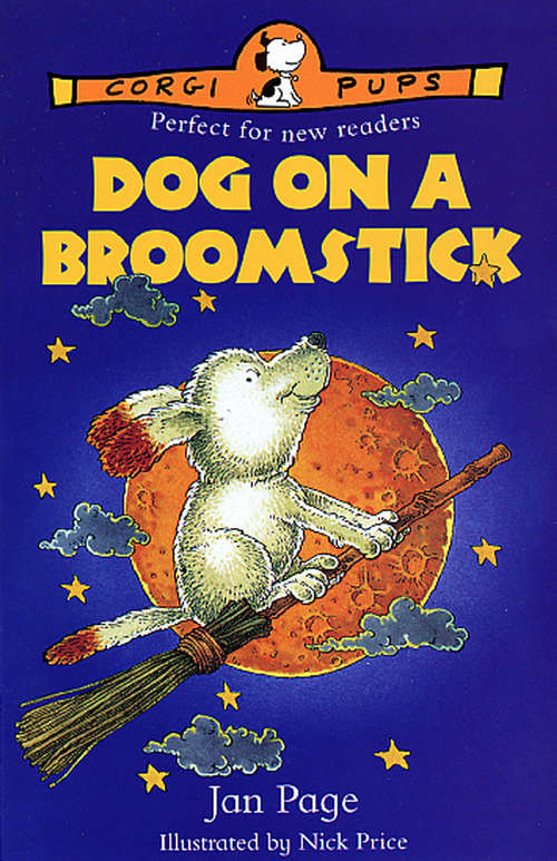 Book cover of Dog On A Broomstick