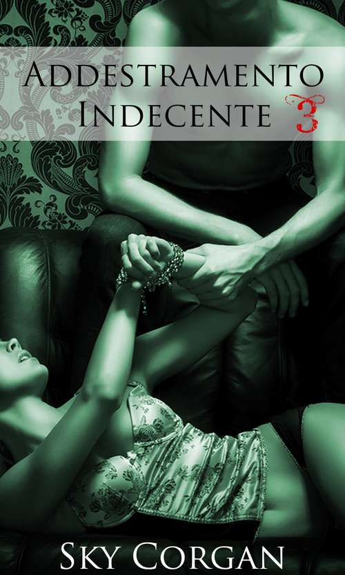 Book cover of Addestramento Indecente 3