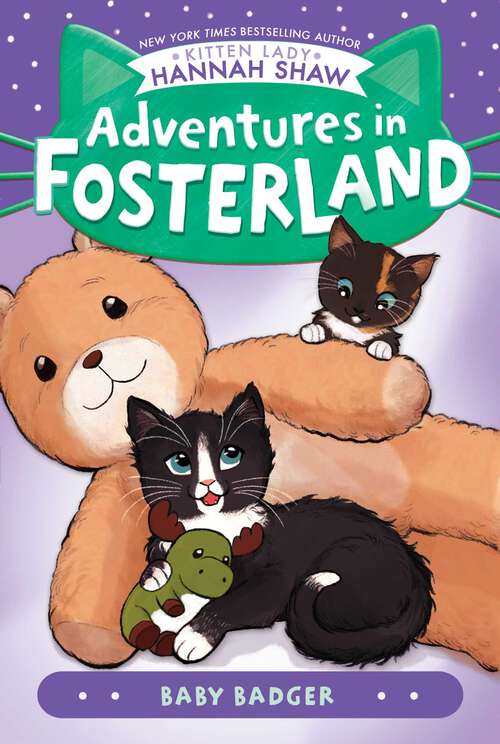 Book cover of Baby Badger (Adventures in Fosterland)
