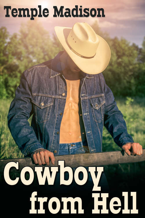 Book cover of Cowboy from Hell