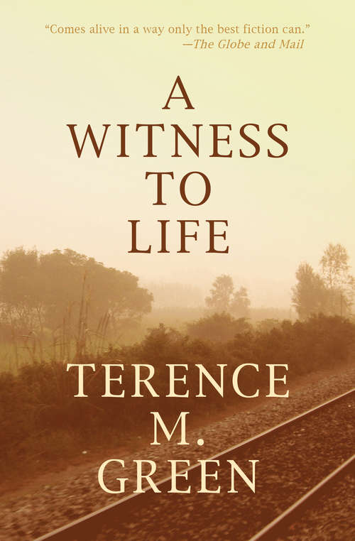 Book cover of A Witness to Life: Shadow Of Ashland, A Witness To Life, And St. Patrick's Bed (The Ashland Trilogy #2)