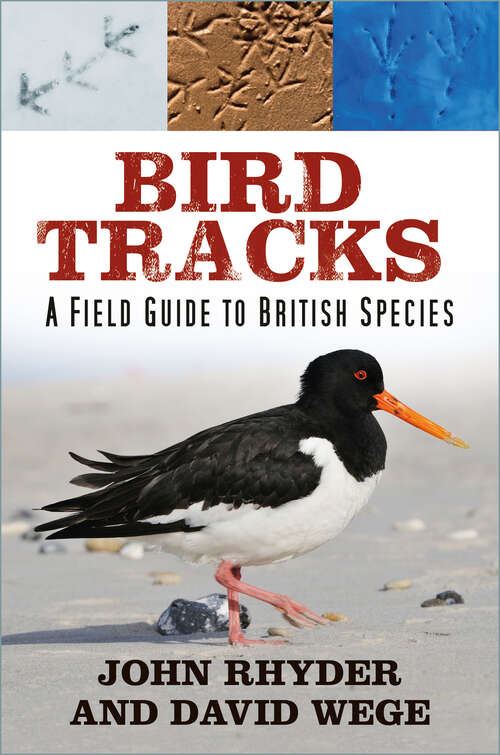Book cover of Bird Tracks: A Field Guide to British Species