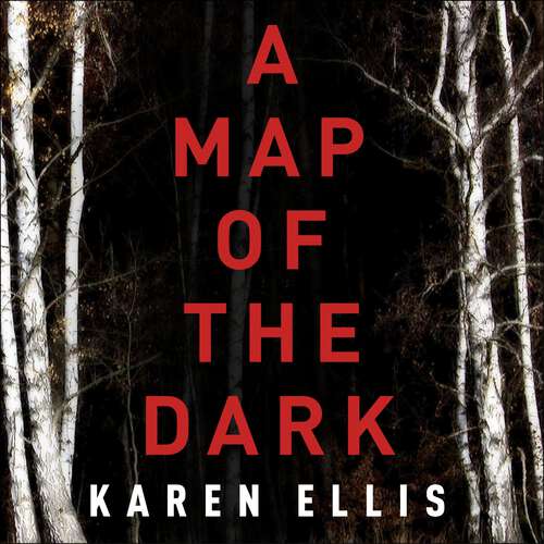 Book cover of A Map of the Dark (The Searchers)