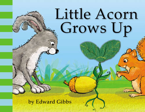 Book cover of Little Acorn Grows Up