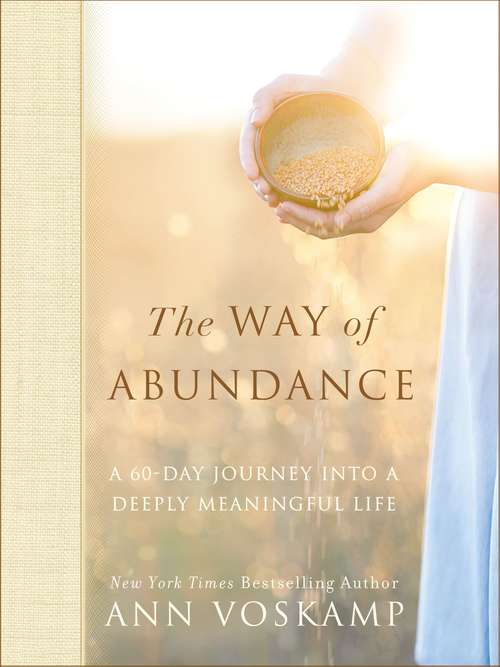 The Way of Abundance: A 60-day Journey Into A Deeply Meaningful Life