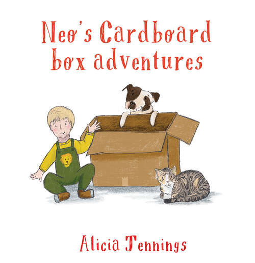 Book cover of Neo's Cardboard Box Adventures