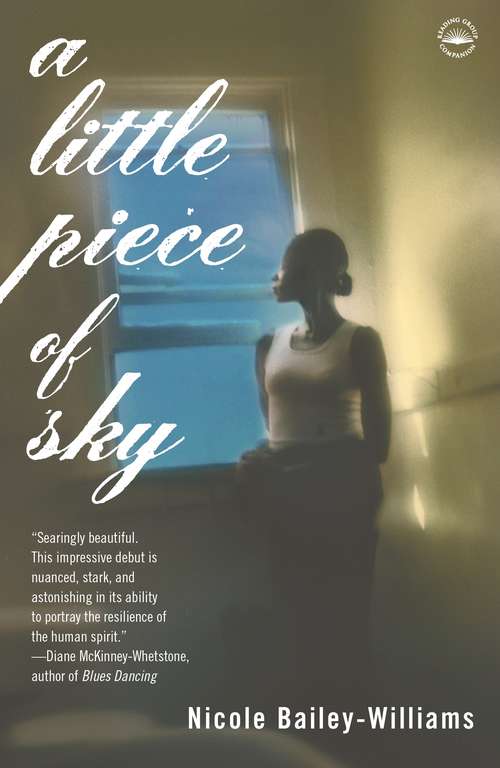 Book cover of A Little Piece of Sky