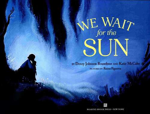 Book cover of We Wait for the Sun
