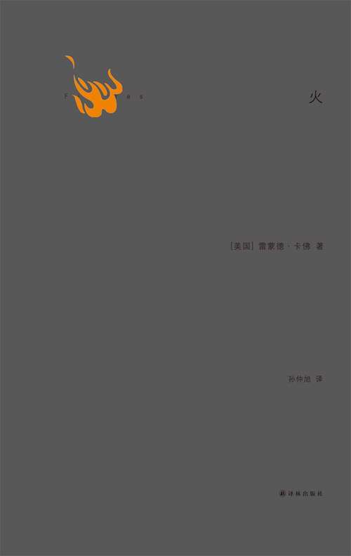 Book cover of Fires (Mandarin Edition)