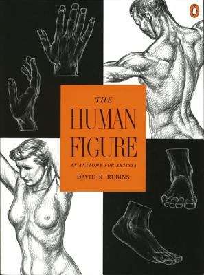 Book cover of The Human Figure: An Anatomy For Artists