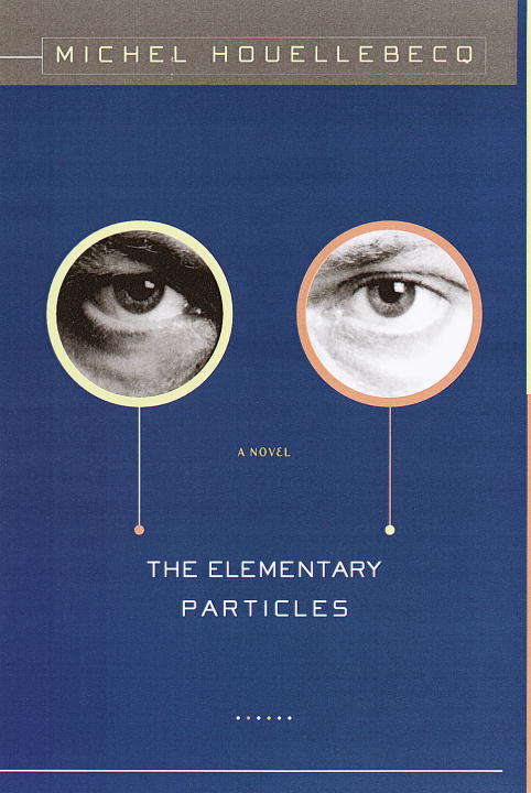 The Elementary Particles (Vintage International Series)
