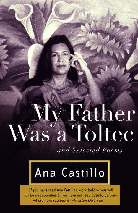 Book cover of My Father Was a Toltec