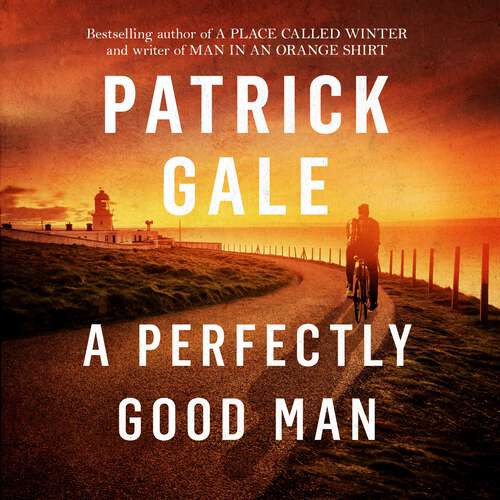 Book cover of A Perfectly Good Man