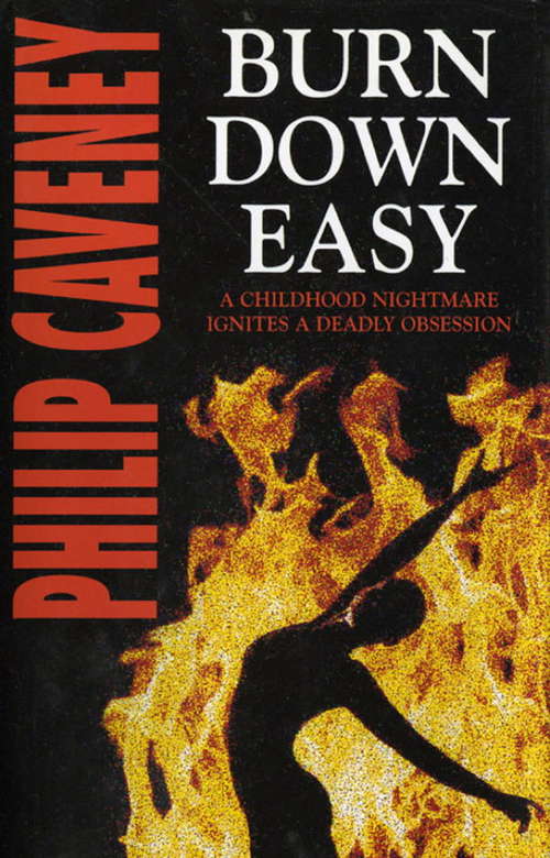Book cover of Burn Down Easy