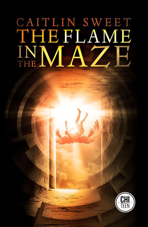 Book cover of The Flame in the Maze (The\ariadne Ser.)