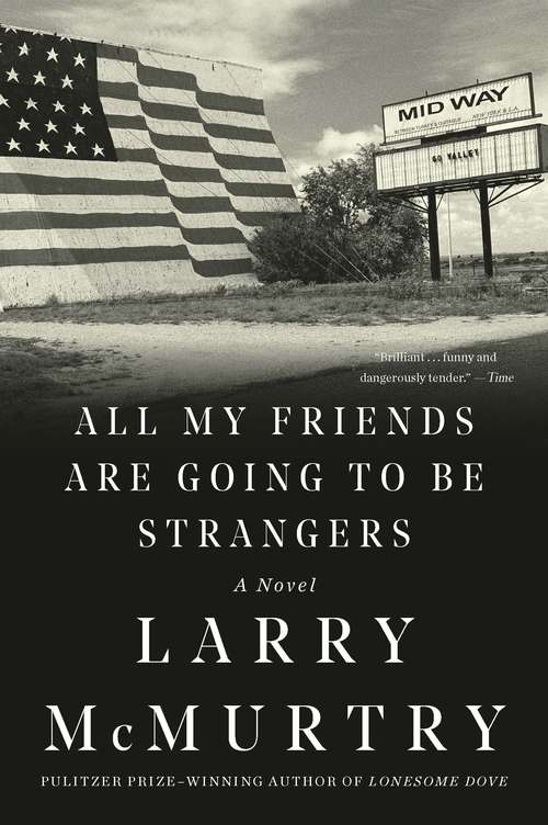 Book cover of All My Friends Are Going to Be Strangers: A Novel