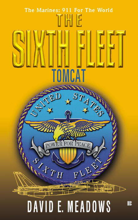 Book cover of The Sixth Fleet: Tomcat (Sixth Fleet #3)