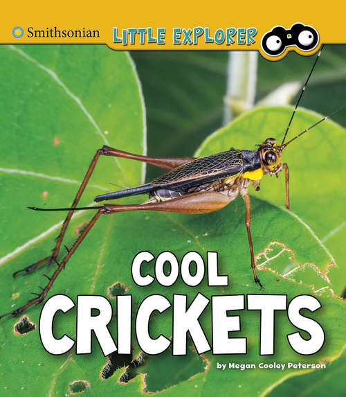 Cool Crickets (Little Entomologist 4D)
