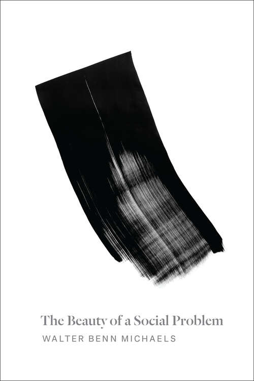 Book cover of The Beauty of a Social Problem: Photography, Autonomy, Economy