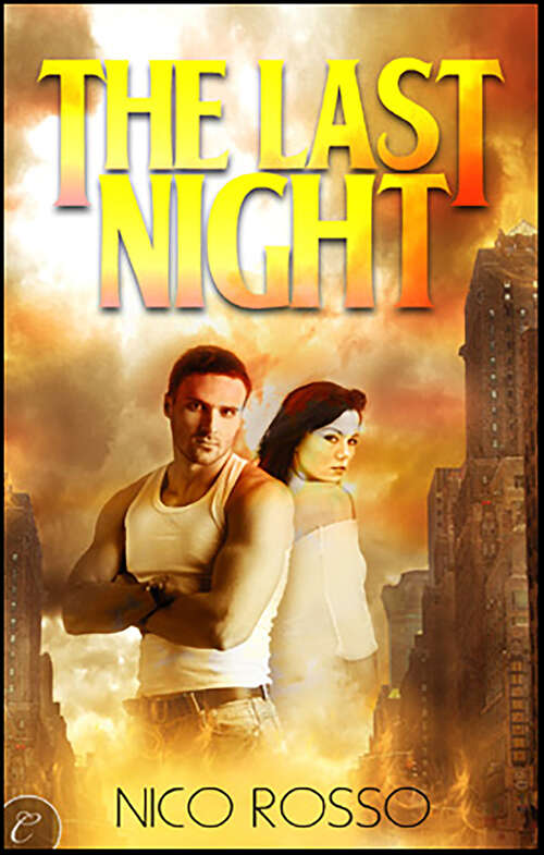 Book cover of The Last Night