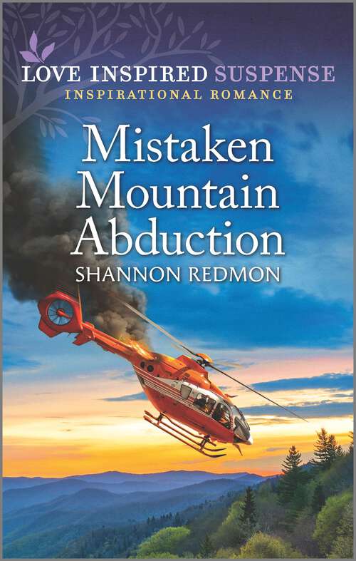 Book cover of Mistaken Mountain Abduction (Original)