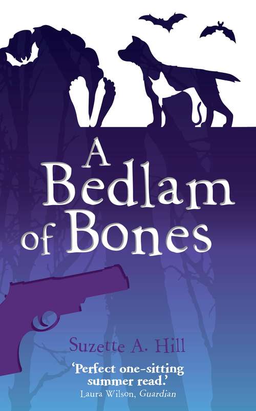 Book cover of A Bedlam of Bones: A Reverend Oughterard Mystery
