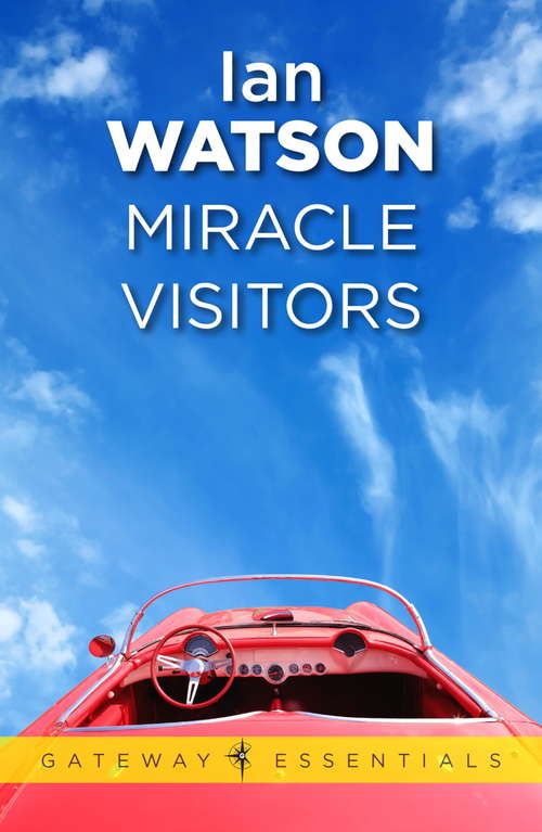 Book cover of Miracle Visitors